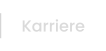 Karriere